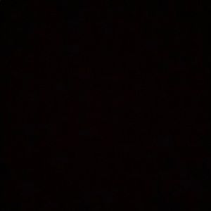 Meet your Posher, Audrey